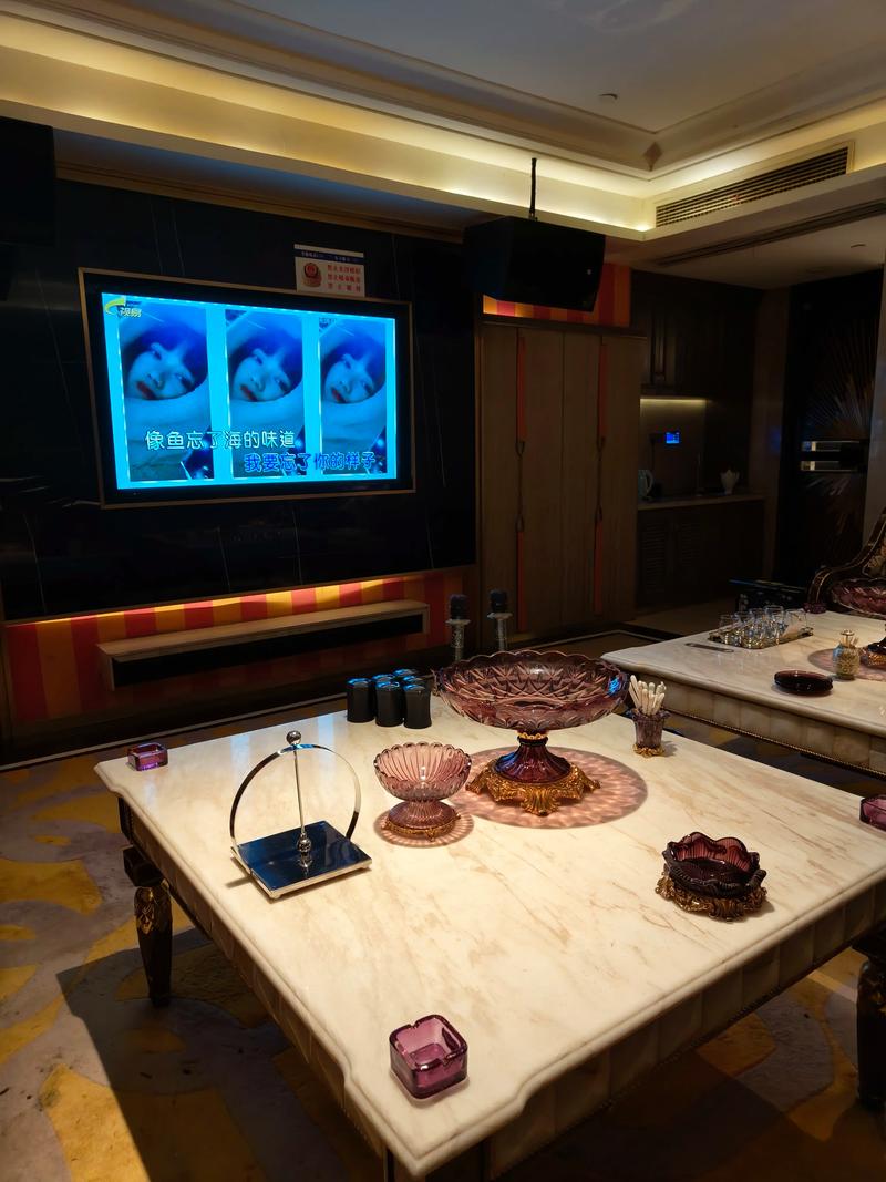 开封商务ktv最佳选择和攻略指南-龙亭区ktv预订